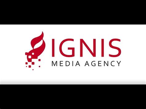 Resumen Ignis Media Agency 2019 YouTube