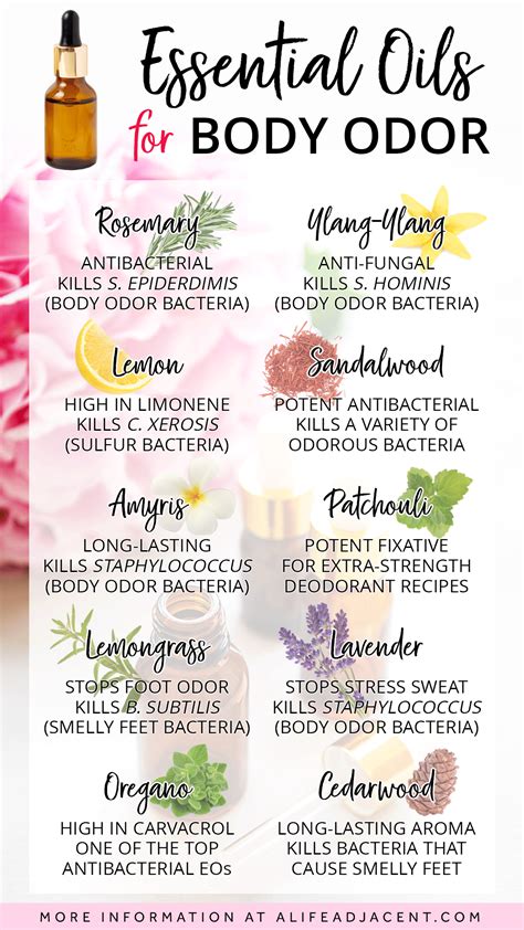 The Best Essential Oils For Body Odor Essential Oil Diffuser Blends