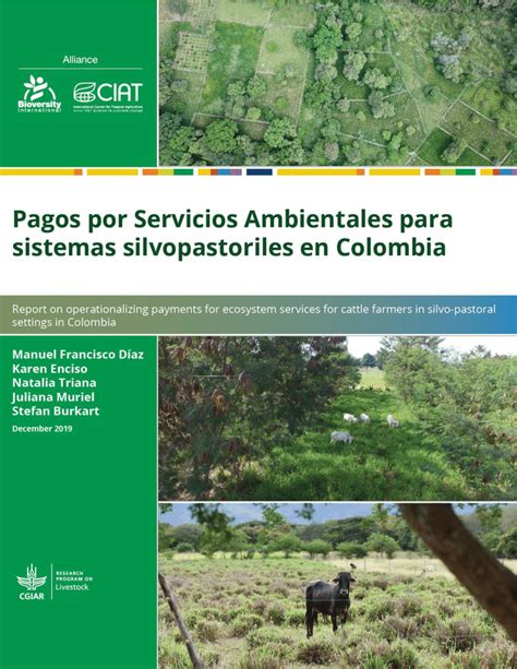 Pdf Pagos Por Servicios Ambientales Para Sistemas Silvopastoriles En