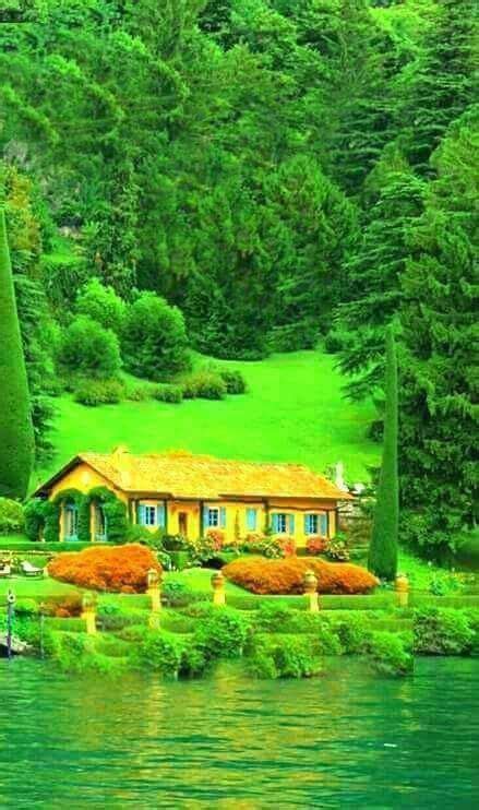 Best Beautiful Green Nature Place Sea Flowers Green Trees Iphone