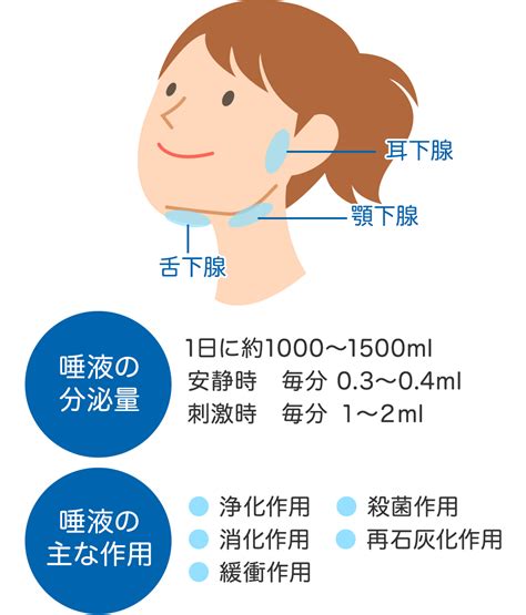 唾液の働きについて 東戸塚エス歯科クリニック