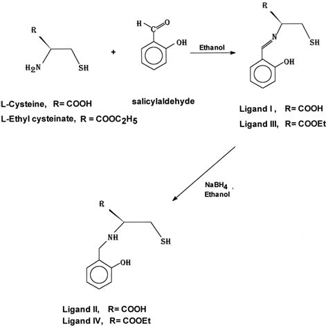 Scheme For Synthesis Of The Ligands Download Scientific Diagram