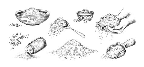 Salt Sketch Png Vector Psd And Clipart With Transparent Background