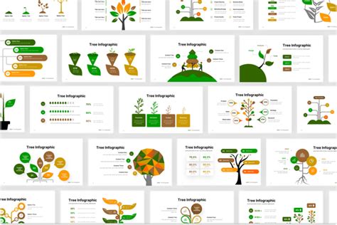 Tree Infographic Incl Tree And Element Envato