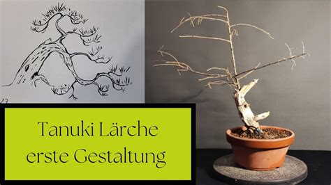 L Rchen Tanuki Erste Gestaltung Youtube