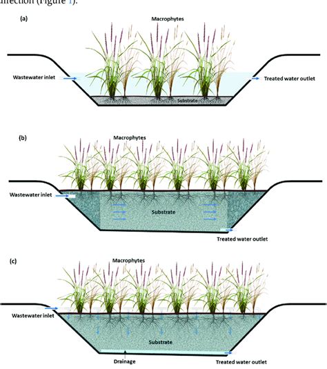 water surface cw  horizontal subsurface flow cw  vertical