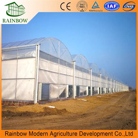 Multi Span Commercial Plastic Tunnel Greenhouse Film For Agriculture