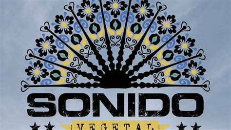 Vuelven A Los Escenarios El Grupo Sonido Vegetal Con Un Nuevo Concierto