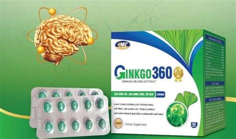 Hỗ trợ tăng cường tuần hoàn và lưu thông máu não Ginkgo 360 DP Mai