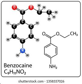 Benzocaine Molecule Structure Stock Vector (Royalty Free) 1358337026 | Shutterstock