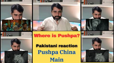 Pakistani Reaction Pushpa 2 Trailer Where Is Pushpa Alu Arjun