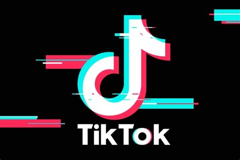 Nuevo Reto En Tiktok Pone En Riesgo La Salud Emocional De Los Perros