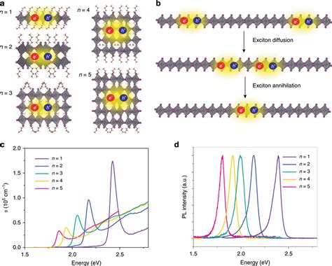 The Structure And Optical Characterizations Of 2d Perovskite Quantum