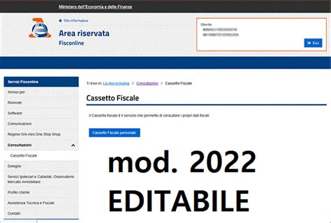 Delega Cassetto Fiscale Pdf Editabile