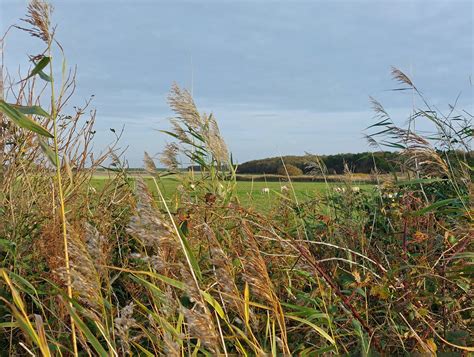 Texel Oktober Klaasbert Moed Flickr