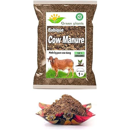 Organic Plant Organicplant Cow Dung Fertilizers For Plants Cow Dung