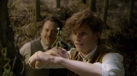 Who Is Pickett The Bowtruckle This Adorable Fantastic Beasts