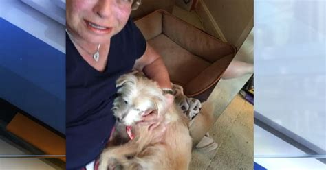 Boca Raton Woman Reunites With Dog After 8 Years