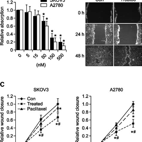 Triptolide Inhibited Tumor Formation In Nude Mice A SKOV3 Cells Were