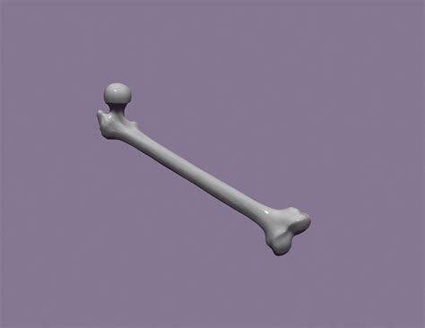 human femur 3D model 3D printable | CGTrader
