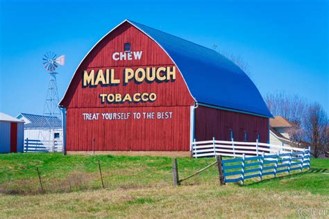 Mail Pouch Chewing Tobacco