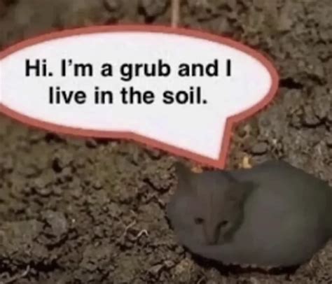 Hi I M A Grub And I Live In The Soil Fandom