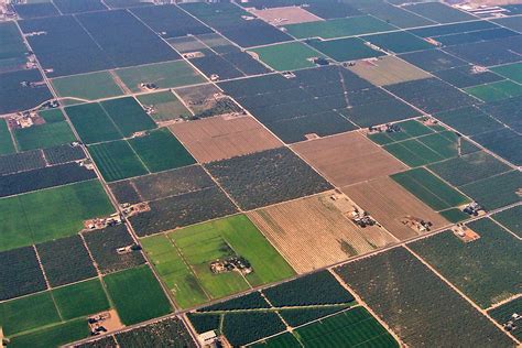 Central Valley Farmland