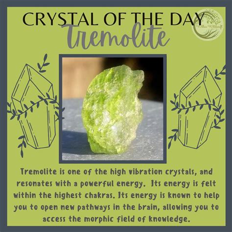 Tremolite | Crystals healing properties, Spiritual crystals, Crystal healing chart