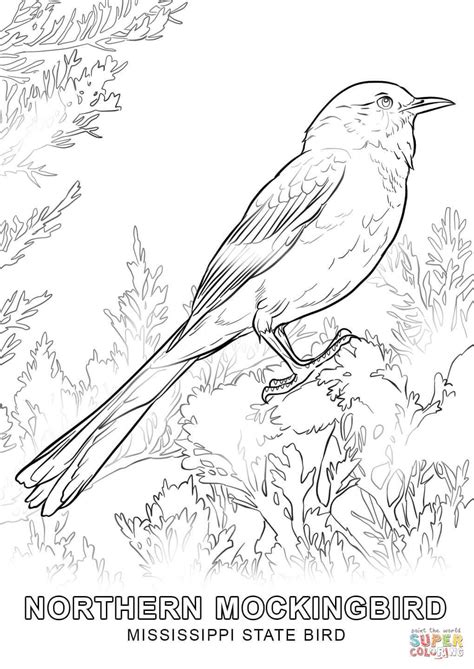 State Bird Coloring Pages At Free Printable