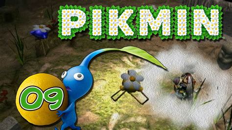 Lets Play Pikmin Deutsch Hd R Tsel Mit Allen Pikmin Youtube