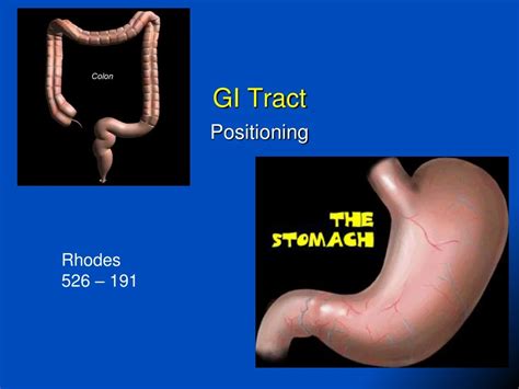 Ppt Gi Tract Powerpoint Presentation Free Download Id9181455