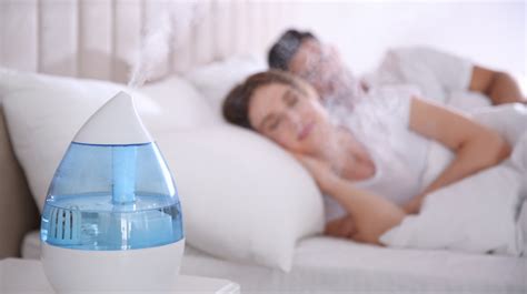 Air Purifier Vs Humidifier Which One Is Better For Asthma