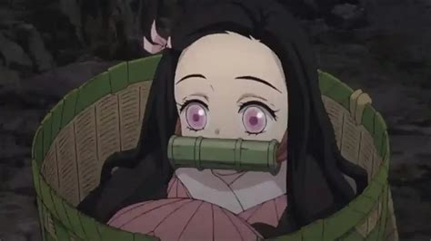 Nezuko Age, Character, Full Name, Popularity, Skills, Birthday, Height