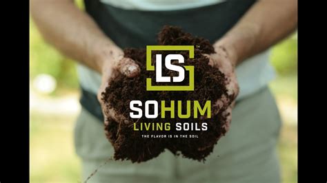 Sohum Living Soils Youtube