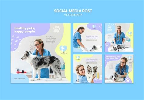 Free PSD | Veterinary clinic poster template