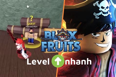 Chia S Kinh Nghi M L N Level Nhanh Trong Blox Fruit