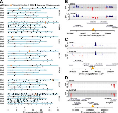 Expression Profiling A Differentially Expressed Genes Between Col 0