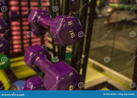 Colored Dumbbells in the Gym Stock Photo - Image of muscular ...