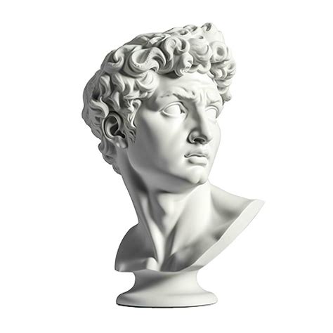 Gypsum Statue Of David S Head Michelangelo S David Statue Plaster Copy