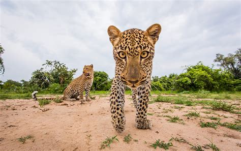 Will Burrard Lucas Photographer All About Photo