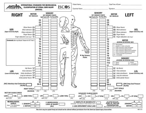 Spinal Nerve Chart Neurology Abba Humananatomy