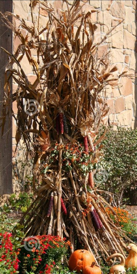 Pin by Randy Powell on fall decoration with corn stalks | Corn stalks decorations, Corn stalks ...