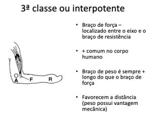 Cin Tica E Biomec Nica Muscular Felipe Barros