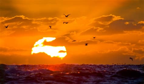 Jetty Sunrise Jim Gilbert All Rights Reserved Barne Flickr