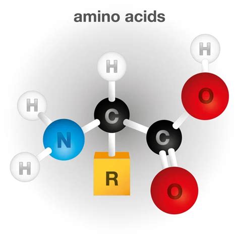 Ilustraci N Que Representa Una Composici N Y Estructura Del Elemento Qu