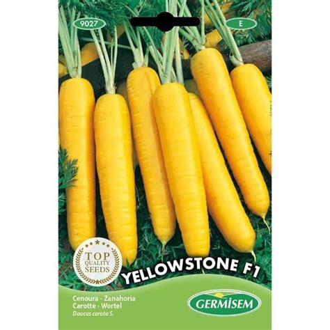 Germisem Graines Carotte Yellowstone F Z Cdiscount Jardin