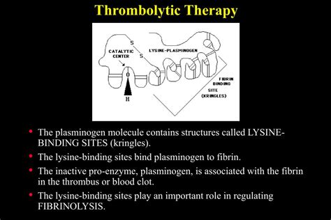 PPT - Thrombolytic Agents PowerPoint Presentation, free download - ID ...