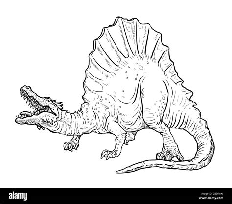 Dibujos De Dinosaurios Carnivoros Para Colorear Vsun