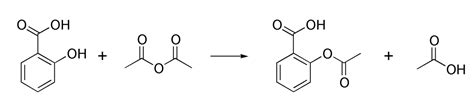 Lysine Acetylation Mechanism