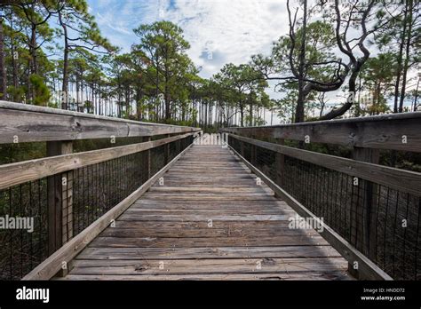 Wooden Walkway Over Marsh On St George Island Stock Photo Alamy